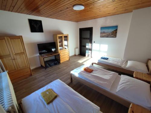 a living room with two beds and a television at Pension 21 in Prague