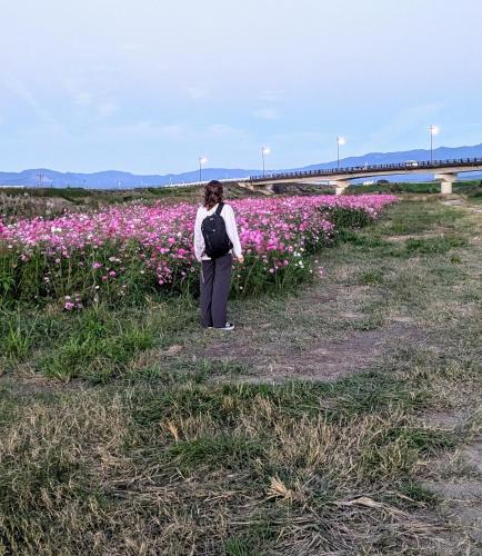 a woman standing in a field of flowers at 民泊サライ七城 in Kikuchi