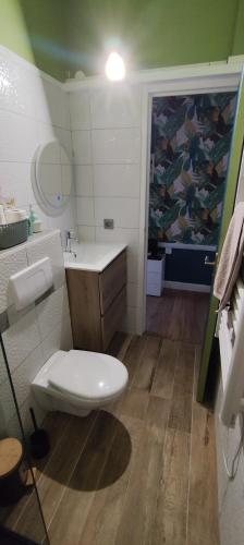 une salle de bain avec toilettes et lavabo dans l'établissement Le Jungle, à Tonnerre