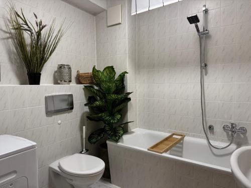 a bathroom with a shower and a toilet and a sink at Naumburger Charme Traminer in Naumburg