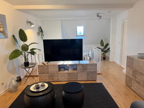 a living room with a large flat screen tv at Naumburger Charme Traminer in Naumburg