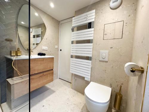 a bathroom with a toilet and a sink and a mirror at Suite Saphir in Sélestat