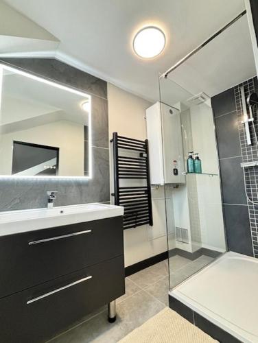 une salle de bain avec un lavabo et une douche en verre dans l'établissement Appartement 7 Climatisé havre de paix ,cosy au cœur de Limoges, à Limoges