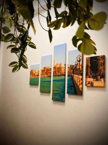 Mimì Maison Bari photo 31