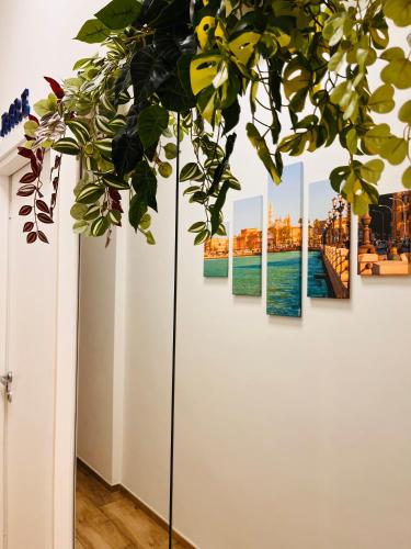 Mimì Maison Bari photo 32