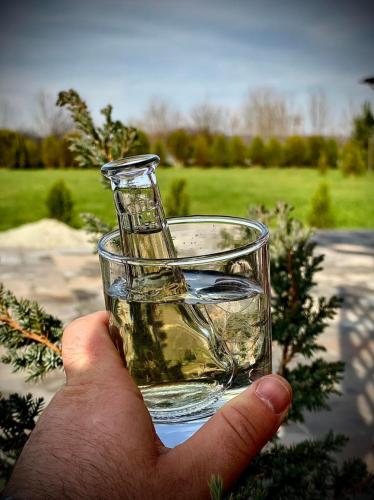 a hand holding a glass filled with water at Hanul Lui Bogdan Economy INN in Făget