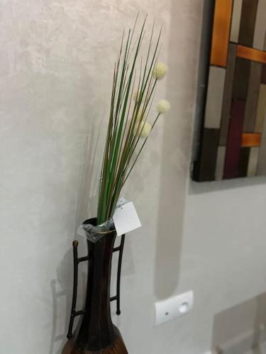 a vase with a plant in it next to a wall at Magnificent Cozy New Luxury Condo in Prime Casablanca Location in Les Camps