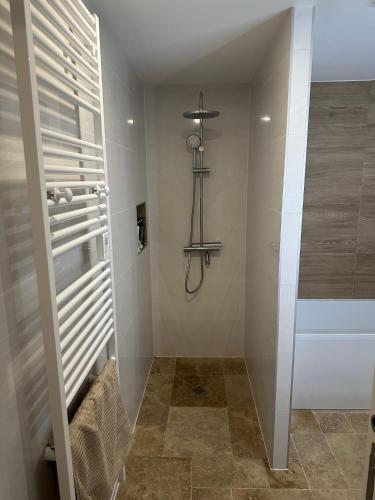 La salle de bains est pourvue d'une douche et d'une fenêtre. dans l'établissement Maison dans un havre de paix, à Hartmannswiller