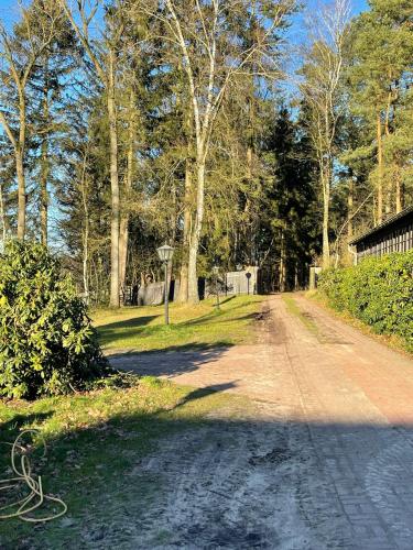 a dirt road with trees on the side of it at Hof Heideglück in Schneverdingen