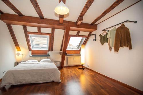 Penthouse in Basel Center with free BaselCard