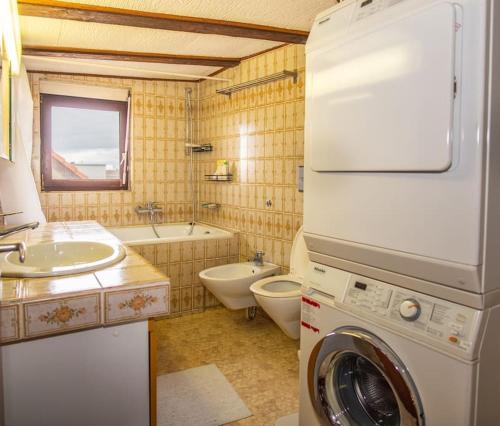 Penthouse in Basel Center with free BaselCard