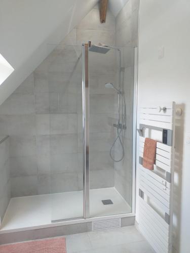 une salle de bain avec une douche avec une porte vitrée dans l'établissement Au jardin de Florentine, à Ingrandes-de-Touraine