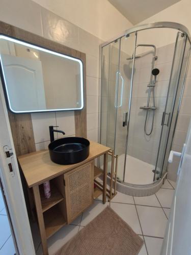 une salle de bain avec un lavabo et une douche dans l'établissement Urban Chic 44 m2, à Brest