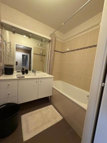 une salle de bain avec une baignoire et un lavabo et une baignoire dans l'établissement Le Coin tranquille, à Colmar