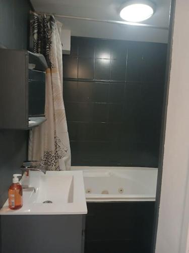 une salle de bain avec un lavabo, une douche et un miroir dans l'établissement Appartement, à Sexey-aux-Forges