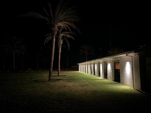 a palm tree next to a building at night at Flying Ostrich Guesthouse & Self-catering Accommodation in Mariental