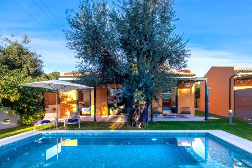 a swimming pool in front of a house with a tree at Galene Eco Luxury Villas in Acharavi