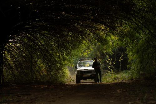 a man standing under a bridge with a car on a dirt road at Dera Baghdarrah Nature Retreat Udaipur in Udaipur