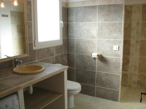 une salle de bain avec un lavabo et des toilettes dans l'établissement Villas de standing à Gréoux les Bains, à Gréoux-les-Bains