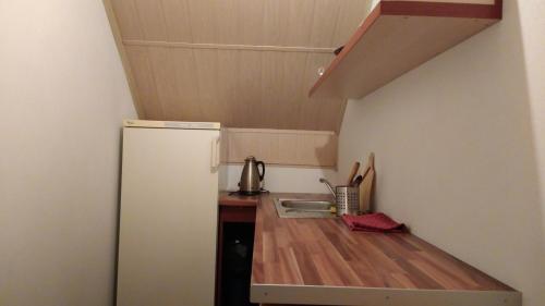 eine kleine Küche mit Kühlschrank und Spüle in der Unterkunft Guest House Kovalik in Suchá Hora