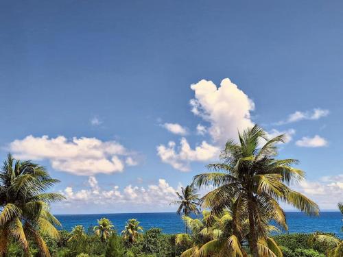 a group of palm trees in front of the ocean at Ti Paradis Gwada Saint François, Vue Mer, Cuve à Eau, Parking Privé in Saint-François