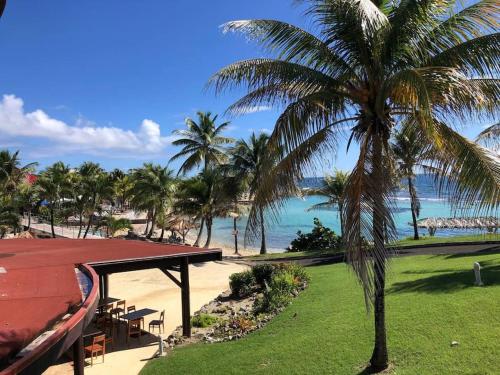 a palm tree sitting next to a beach with the ocean at Ti Paradis Gwada Saint François, Vue Mer, Cuve à Eau, Parking Privé in Saint-François