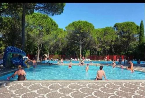 Piscina de la sau aproape de Camping Jackson