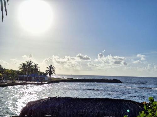 a view of the ocean with palm trees and a beach at Ti Paradis Gwada Saint François, Vue Mer, Cuve à Eau, Parking Privé in Saint-François