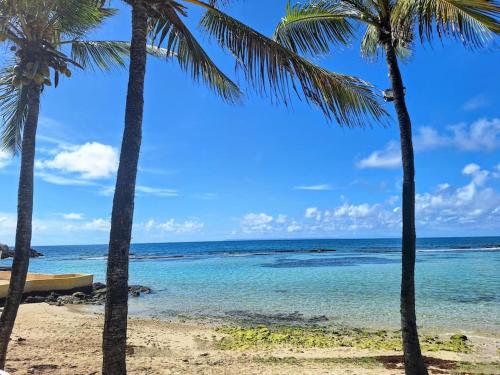a beach with palm trees and the ocean at Ti Paradis Gwada Saint François, Vue Mer, Cuve à Eau, Parking Privé in Saint-François