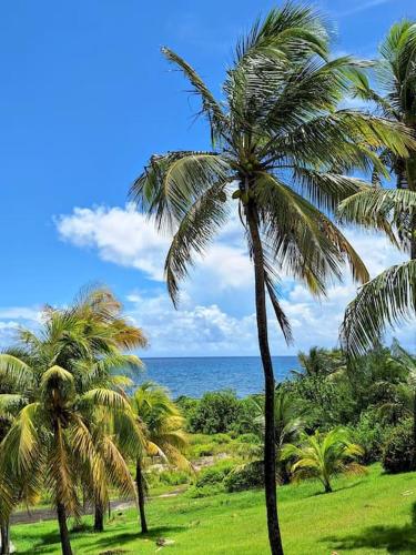 two palm trees with the ocean in the background at Ti Paradis Gwada Saint François, Vue Mer, Cuve à Eau, Parking Privé in Saint-François