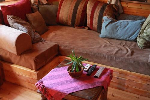 a living room with a couch and a table with a plant at Cabin Resort in Moshav Ramot
