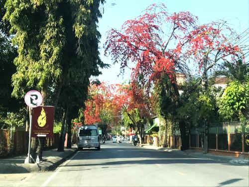 a van driving down a street with red trees at Hug House in Chiang Rai