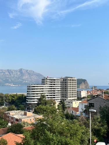 a city skyline with a large white building at Hotel Atina in Budva
