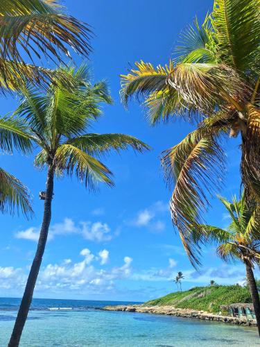 a group of palm trees on a beach at Ti Paradis Gwada Saint François, Vue Mer, Cuve à Eau, Parking Privé in Saint-François