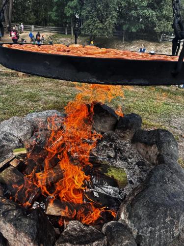 a fire pit with a boat on top of it at Pokoje Stajnia Kaliska in Łochów