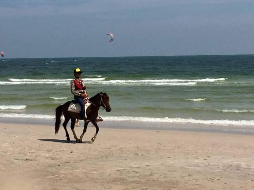a person riding a horse on the beach at Nicha Pool Villa by Nichahome in Hua Hin