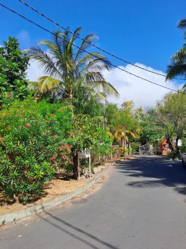 an empty street with palm trees on the side of the road at JV Jardin du Cap in Bain Boeuf