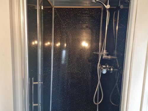 a shower with a glass door with a shower at Glan yr Afon Dau - Relax Recuperate Hot Tub in Welshpool