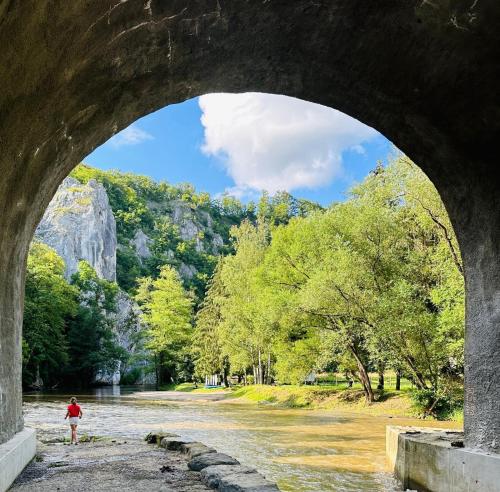 Příroda nedaleko apartmánu