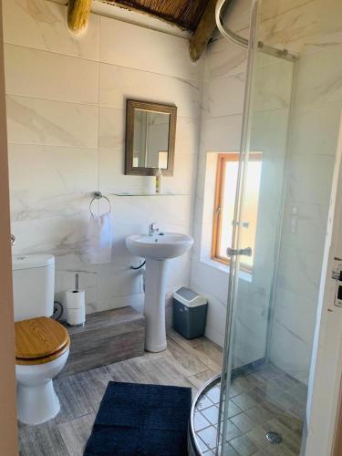 a bathroom with a sink and a toilet and a shower at At Sea, Melkbosstrand in Melkbosstrand