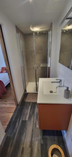 une salle de bain avec un lavabo et une douche dans l'établissement Gite Le Banc du Peyron au Champ des Cimes, à Aubessagne