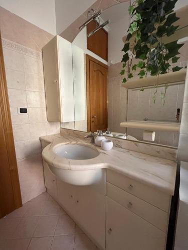 ALGA Roma photo 14
