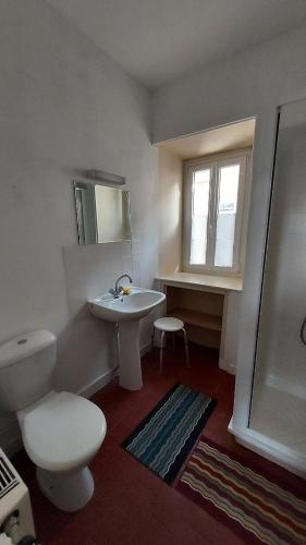 une salle de bain avec des toilettes blanches et un lavabo dans l'établissement L'Etape KERISA, à Châteaumeillant