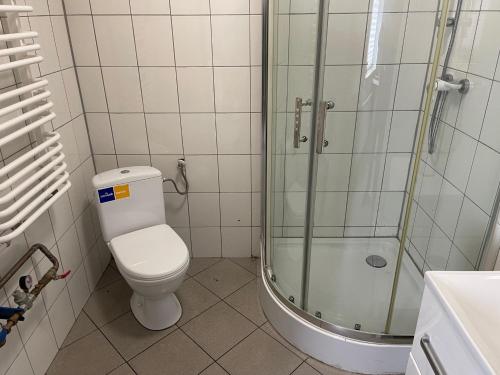 Un baño con inodoro y ducha de cristal. en Wiejska Chata w Doline Baryczy, en Ujeździec Mały