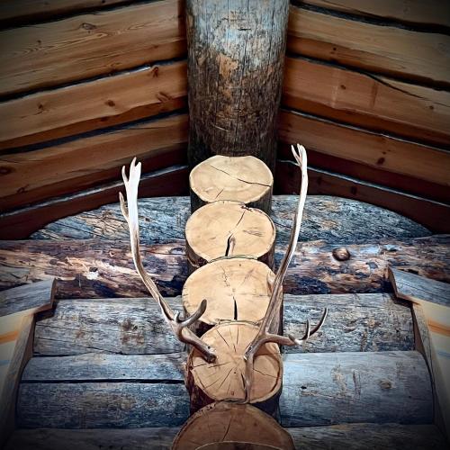 a deer head with antlers on a log cabin at Ruka View at the Slopes Ski in, Family & Bike Park, National Park, hike trails - Lapland Villas in Ruka