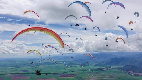 a bunch of kites flying in the sky at Guesthouse Nomad7 in Roldanillo