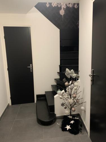 un escalier noir avec une porte noire et une plante dans l'établissement le studio d'alex, à Arras