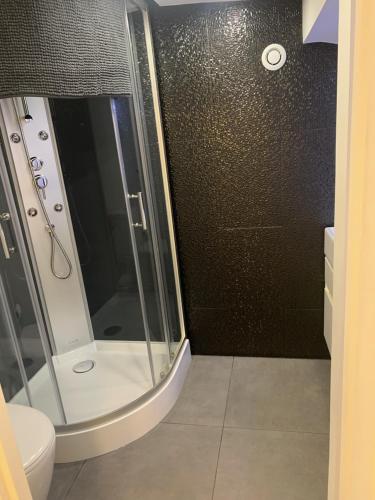une petite salle de bain avec douche et toilettes dans l'établissement le studio d'alex, à Arras