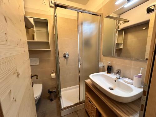 a bathroom with a sink and a shower and a toilet at Central recently renovated apartment - Casa Tre Pini in Madonna di Campiglio