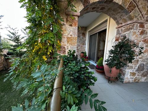 a building with a bunch of plants in a yard at Air Suite in Spáta